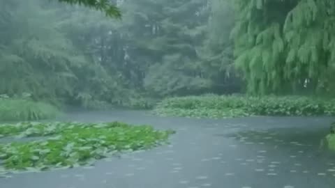 The beautiful little river is raining