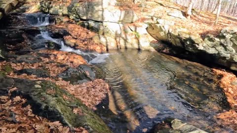 Roaring Falls