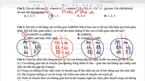 "SINH BUỔI 20 : LUYỆN ĐỀ "