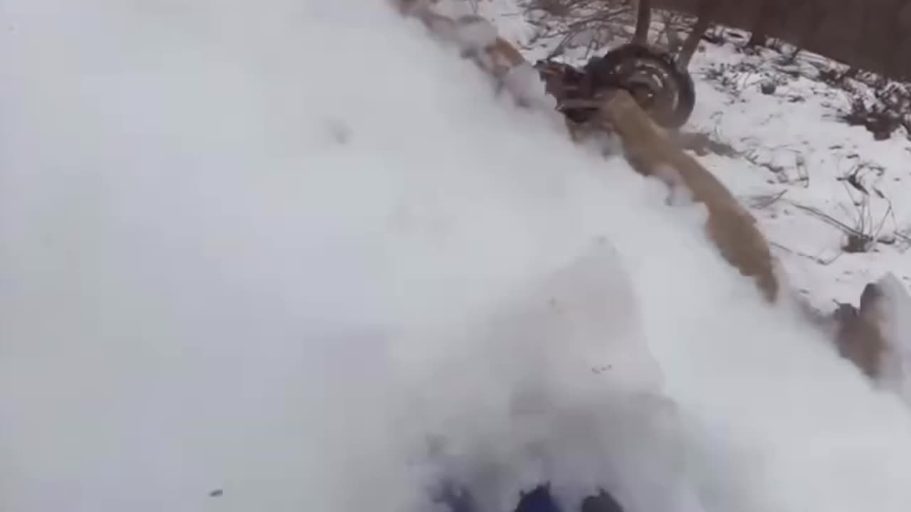 La Saga dei Cojones 129