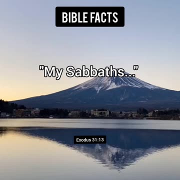 Commemoration | P6 | The Astonishing Details of Creation Unveiled!