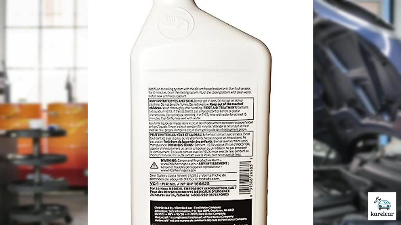 Stoner Car Care 91144 18-Ounce Upholstery and Carp