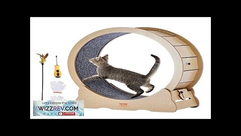 Cat Exercise Wheel Large Cat Treadmill Wheel for Indoor Cats 35.8 inch Review