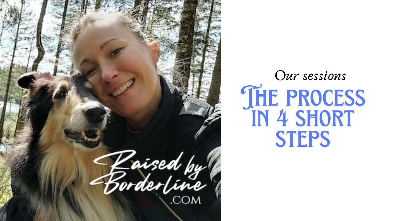 Our Sessions - The process in 4 short steps