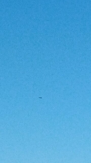 draconian democracts