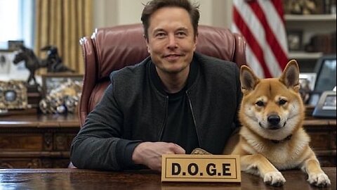 DOGE by Elon Musk MAKE AMERICA EFFICIENT AGAIN 