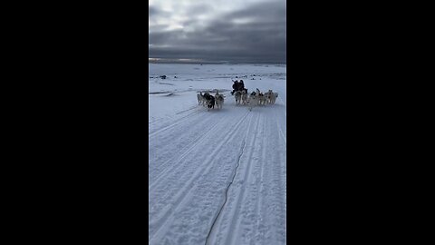 Dogsledding, Qeqertarsuaq, Disko Island, Greenland