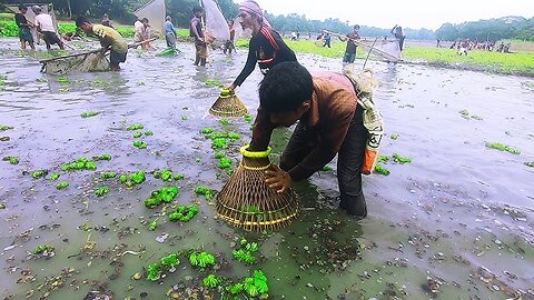 very interesting bangladeshi village fishing technic #fish #fishing #outdoor