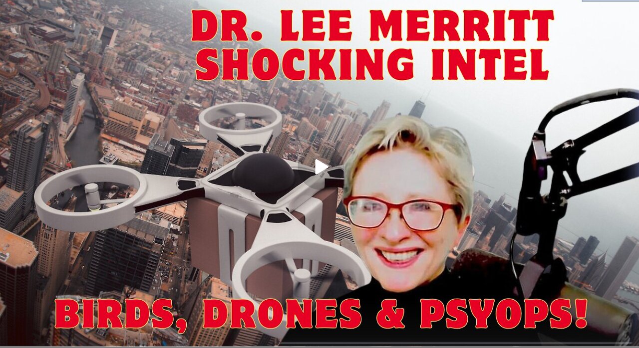 Dr. Lee Merritt SHOCKING INTEL- Birds, Drones And Psyops!!! Dec 26