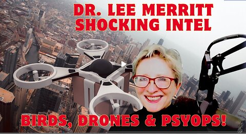 Dr. Lee Merritt SHOCKING INTEL- Birds, Drones And Psyops!!! Dec 26