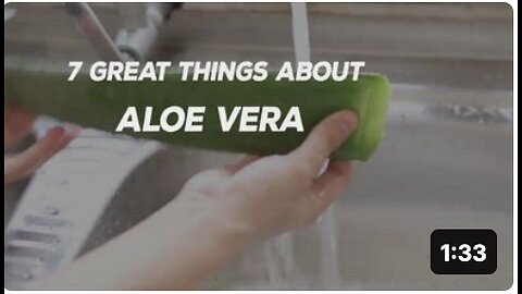 7 Great Things About Aloe Vera