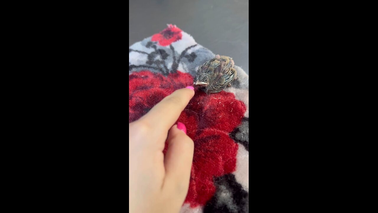 ahhhhhh