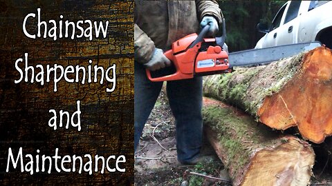 Chainsaw Maintenance and Sharpening