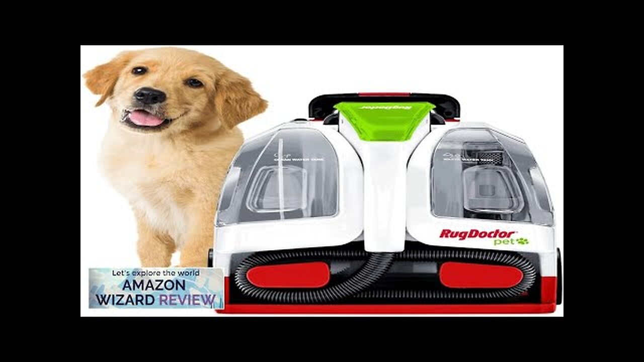 Rug Doctor Pet Portable Spot Cleaner 2X Suction Power Lightweight Dual Action Review