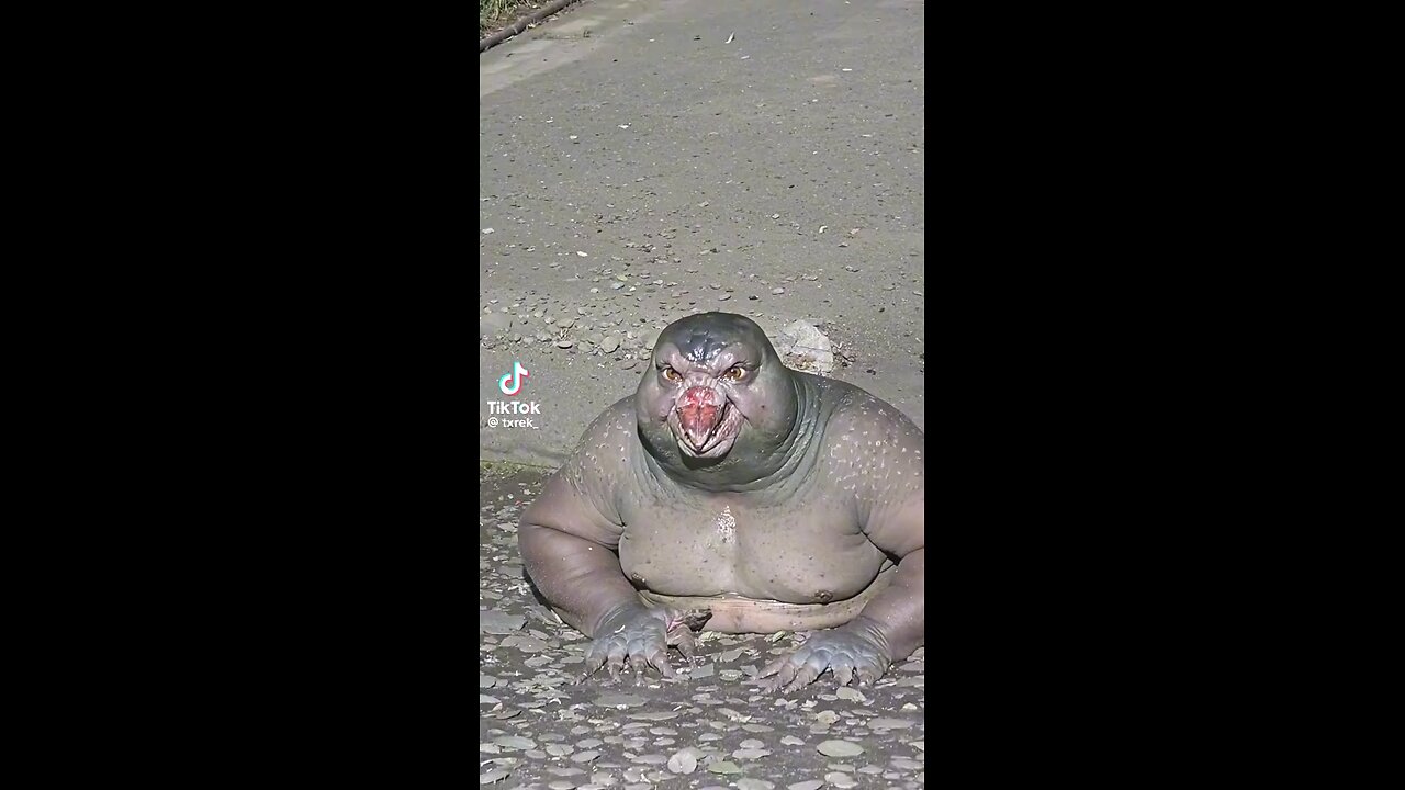 Viral TikTok video