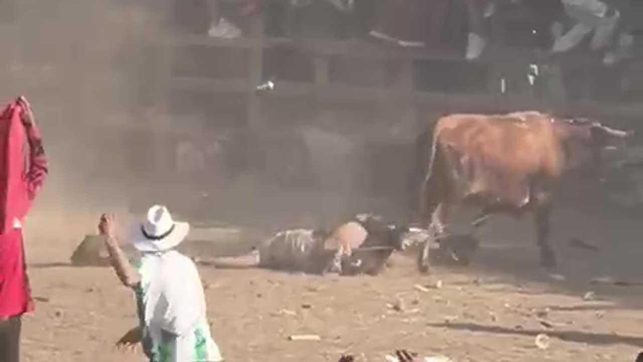 toros
