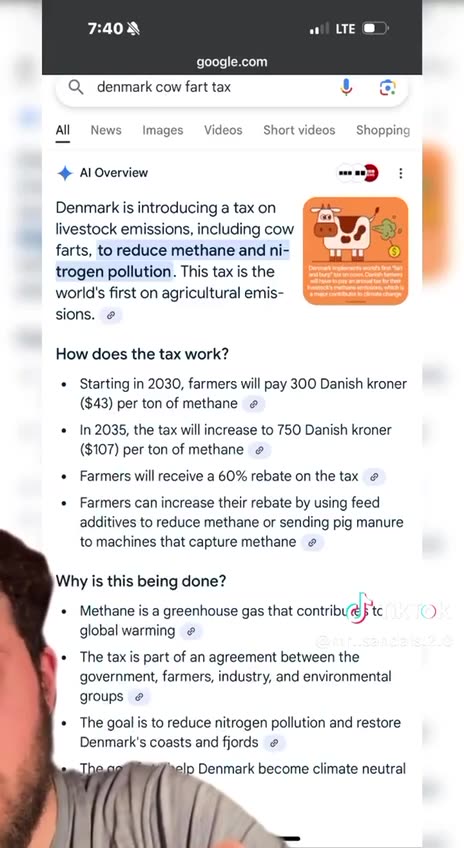 🇩🇰DENMARK COWFART TAX