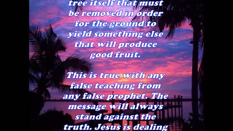 The Book of Matthew 7:18 - Daily Bible Verse Commentary