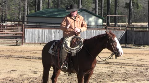 How To Get Control of a Horse's Rear End