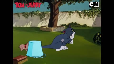 Watch the comedy classic, Tom & Jerry,