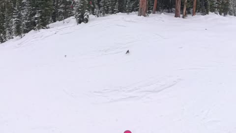 Squirrel Darts Out in Front of Skier