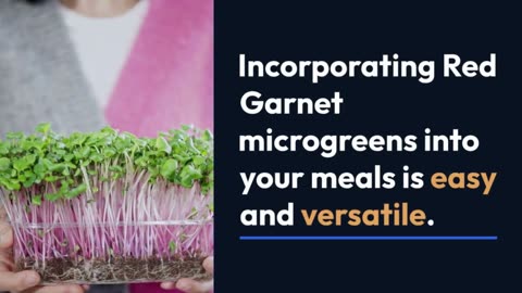 Red Garnet Microgreens: The Perfect Addition to Your Meals
