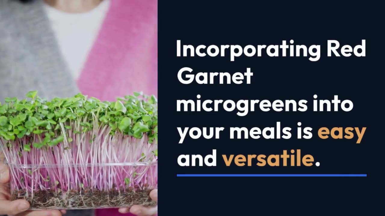 Red Garnet Microgreens: The Perfect Addition to Your Meals
