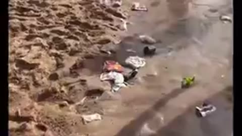 Invaders Have Turned UK Beaches Into A Third World Littered With Garbage