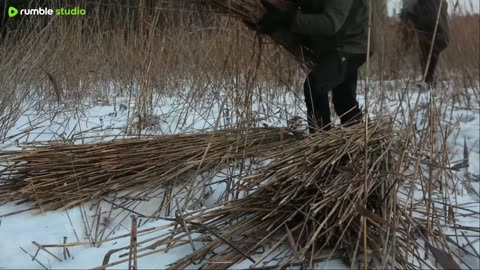 Endless Winter🥶 1 Hour Bushcraft in the North [Camping, Survival]