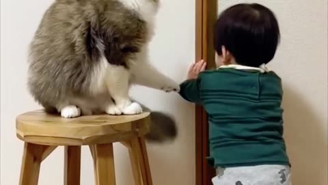 Cat Prevents Young Boy from Opening Door