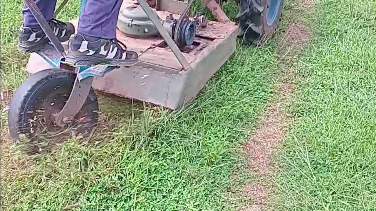 Grass Cutter