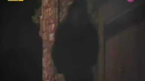 ΛΙΤΣΑ ΓΙΑΓΚΟΥΣΗ - ΟΤΑΝ ΜΙΑ ΓΥΝΑΙΚΑ