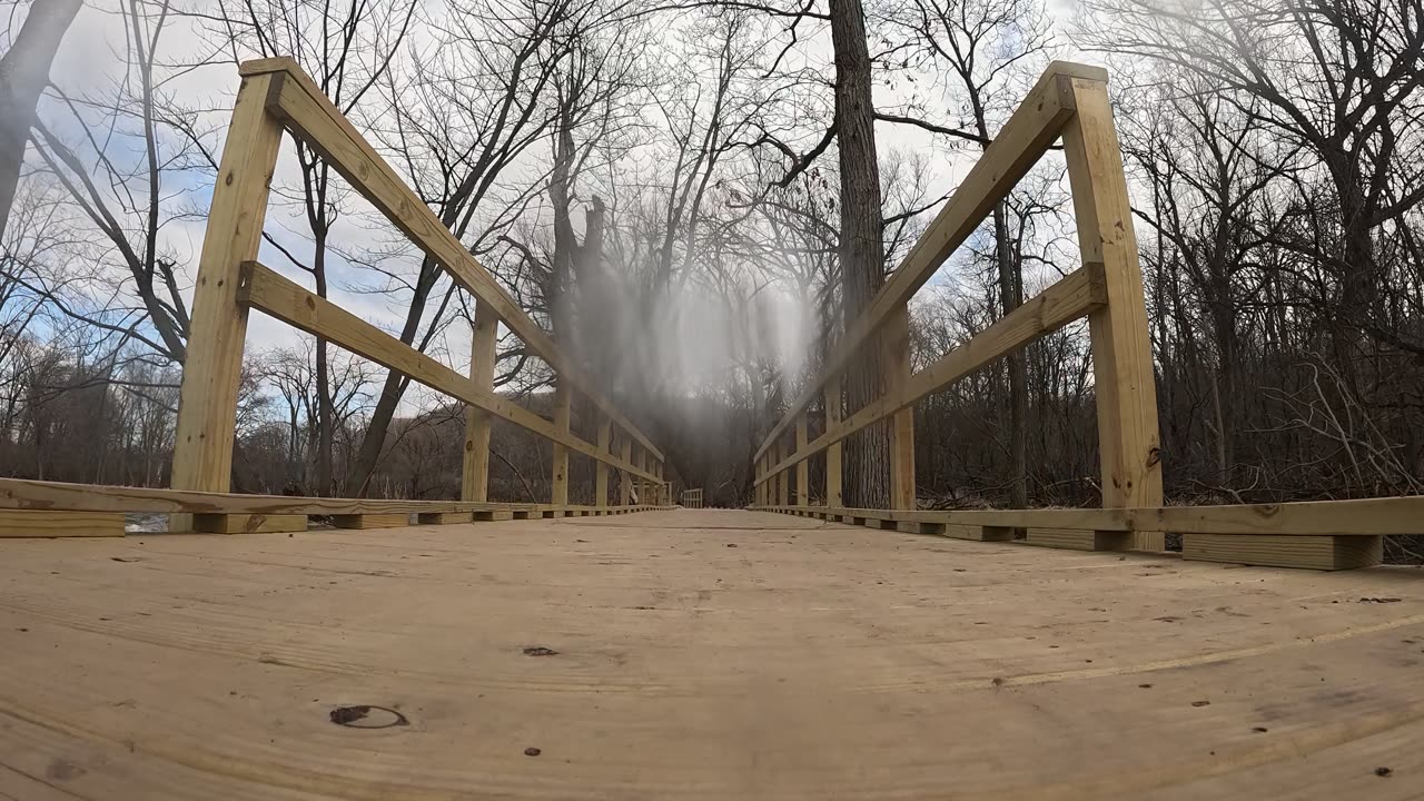 Walking