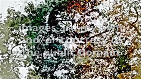 All That is Left of the Old Man, Spoken Word and Poetry by Pryde Foltz