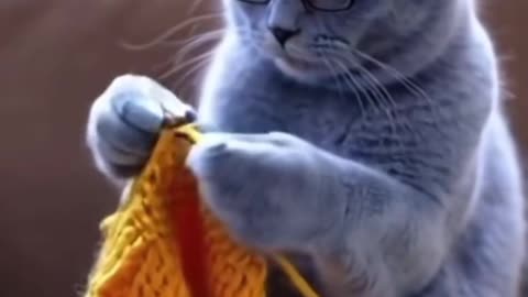 Mastering Sewing with My Clever Cat! 🐾 | Watch Her Stitch Like a Pro!"