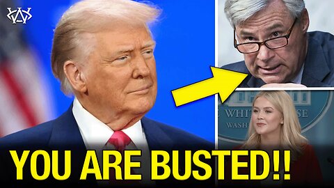 Senator's Wife EXPOSED! Special Counsel ATTACKS; AP News BLOWN OUT