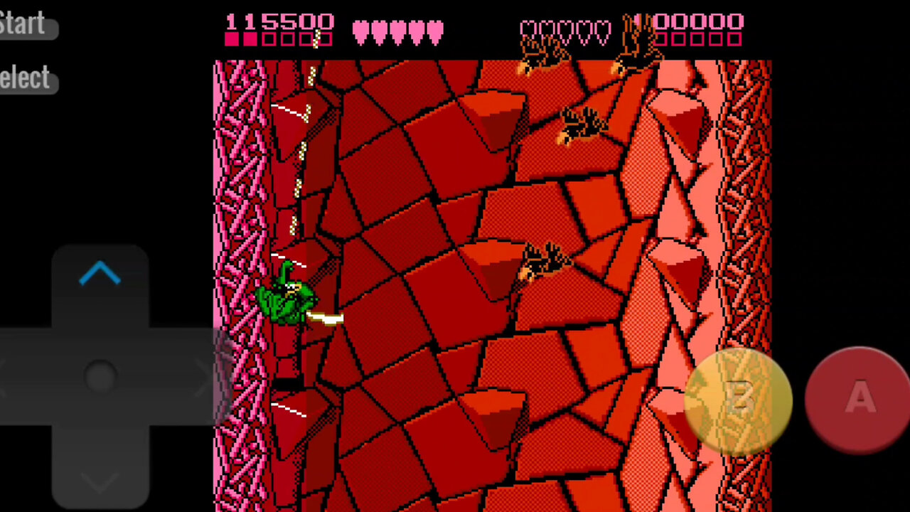 BattleToads LEVEL 2 Wookie Hole