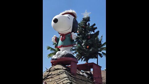 Merry Christmas and Happy Hannukah