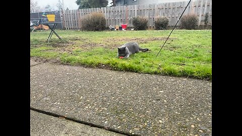 Twoey’s Play Time