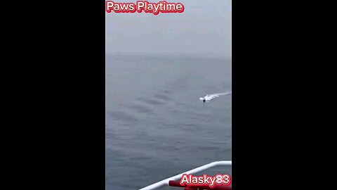 SMALL PIRATE BOAT IS DESTROYED BY THE SHIP'S GUARD