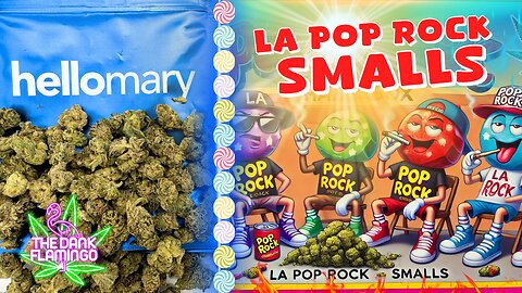 Trying LA Pop Rock THCa Smalls from ShopHelloMary! The Dank Flamingo Cannabis Review!!