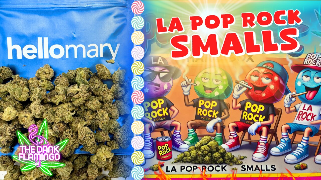 Trying LA Pop Rock THCa Smalls from ShopHelloMary! The Dank Flamingo Cannabis Review!!