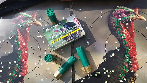 Remington Premium Magnum Turkey Loads, 12 gauge in 3" shells loaded with No. 5s.