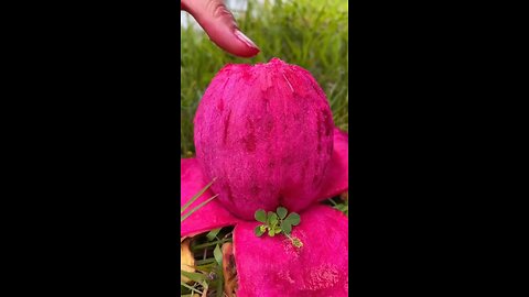fruit video 🍎🍓🍉