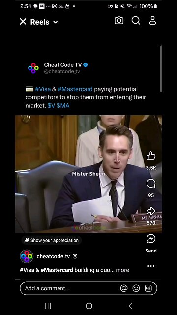 The Visa and Mastercard Monopoly