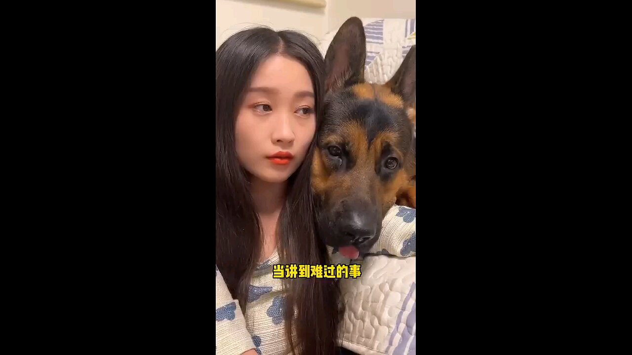 Cute girl an lovely dog😍