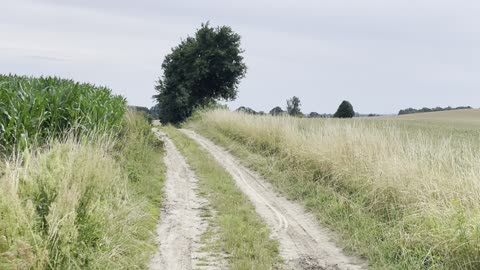 Dirt road and fields outside of Bytów