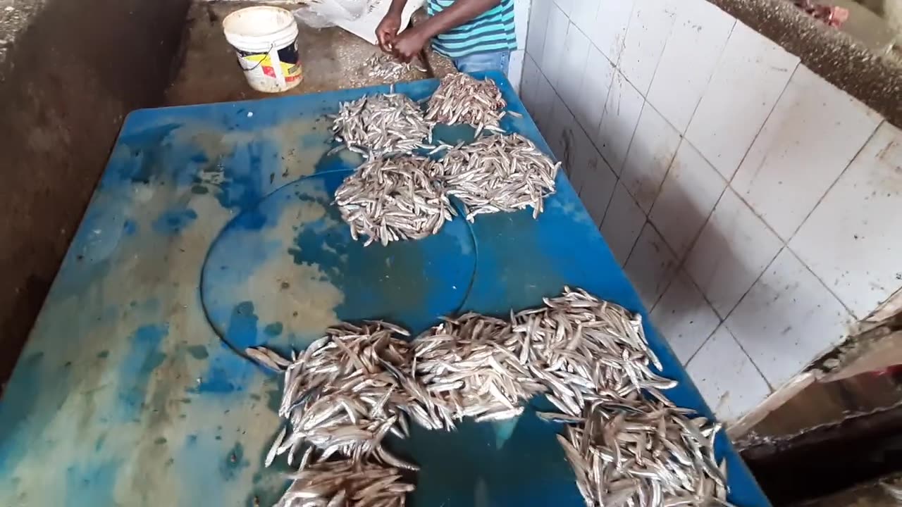 21st AUG 2022, FISH, SPICES, VEGS, FRUITS & SO MUCH MORE, EXPLORING THE FAMOUS MARKET IN STONE TOWN