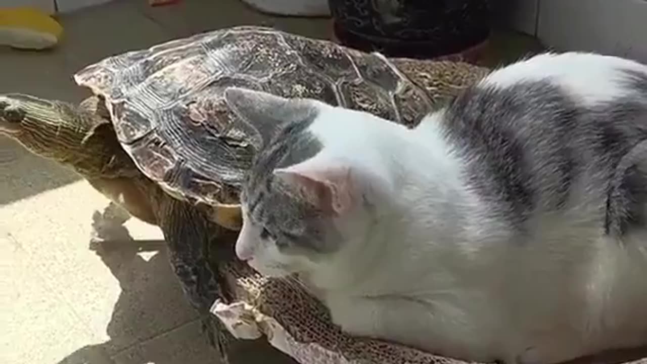 That’s my spot.. 😂