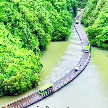 Are You a good enough Driver to Cross this Bridge? 😱🙀